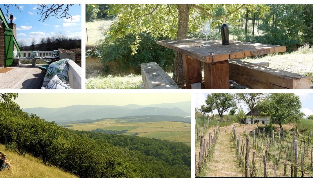 Hongarije – Wijnhuisjes te huur