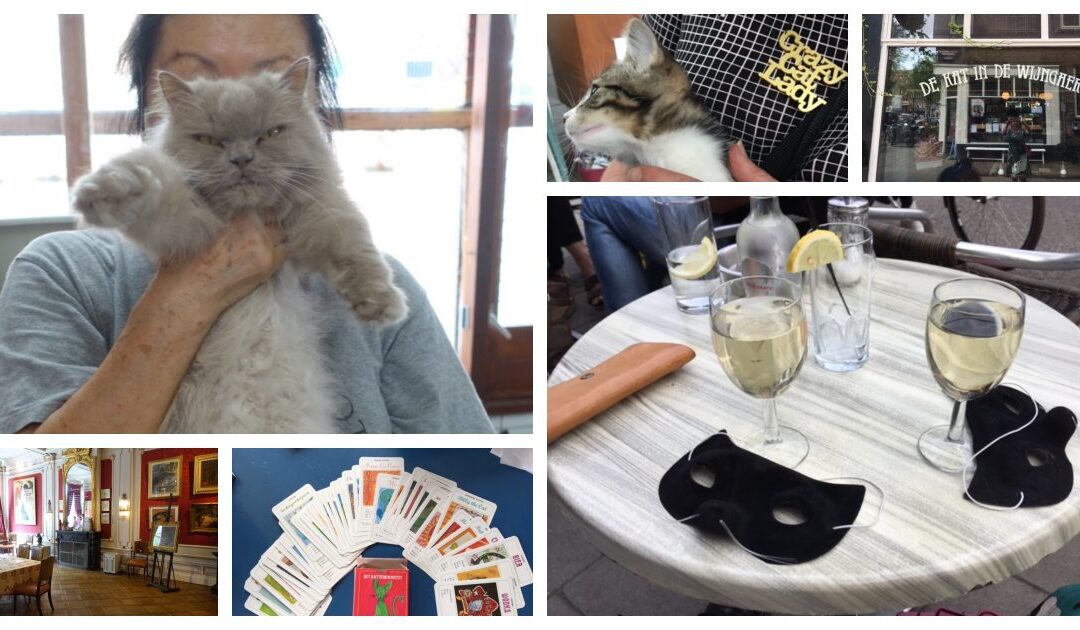 Amsterdam – Kittytrail – een tof uitje voor crazycatladies en aanverwante tiepes