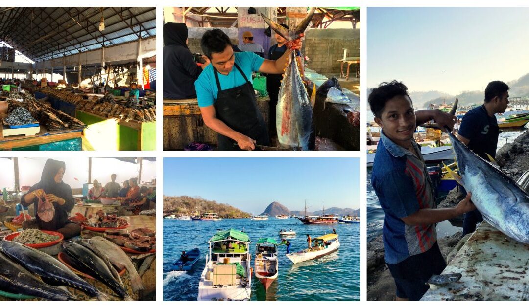 Indonesië – Flores: Lubuan Bajo