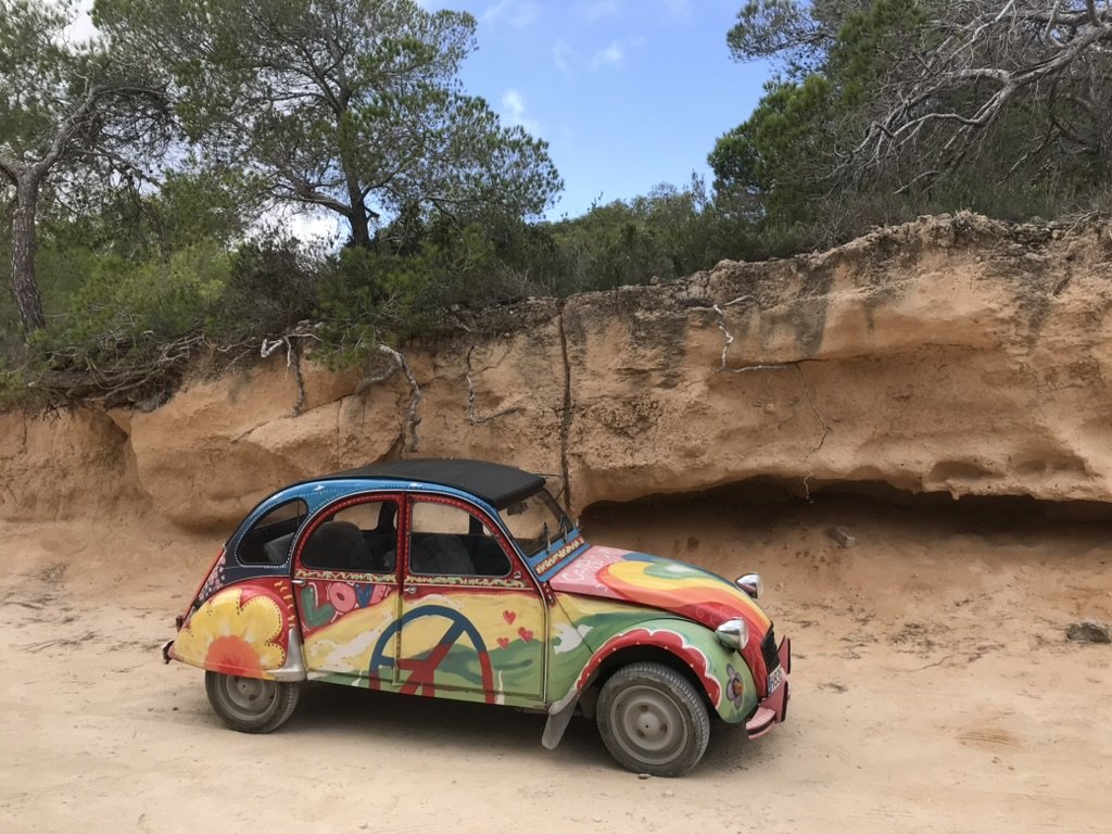 Lelijke eend in hippie kleuren voor een berg