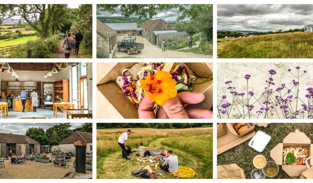 Engeland – Picknicken bij the river Cottage
