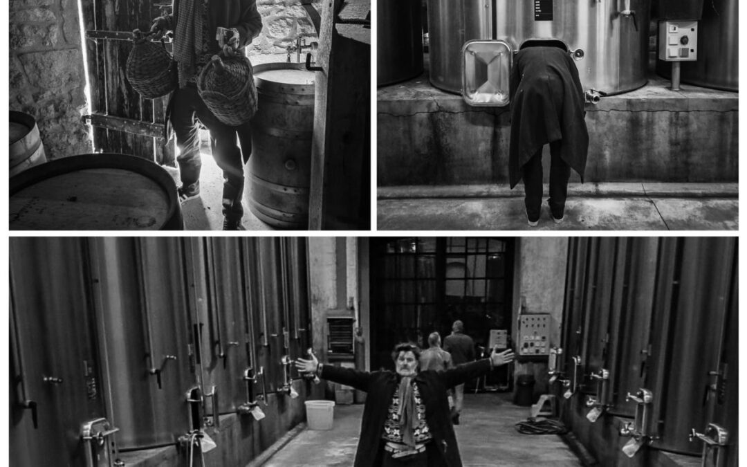 man in moderne wijnkelder in Bordeaux