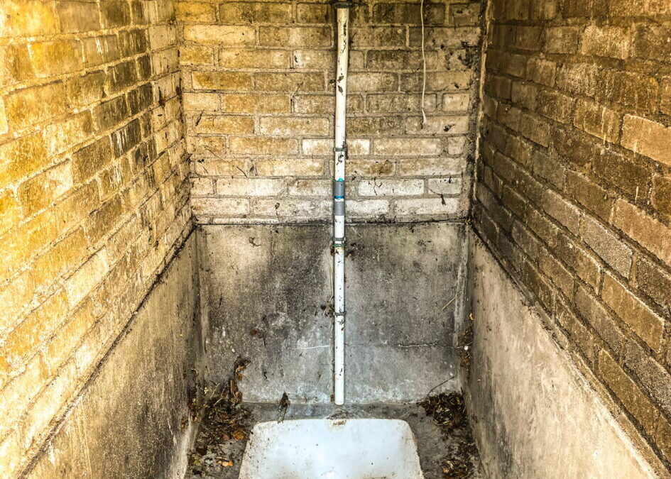 Frans hurktoilet met herfstbladeren erin